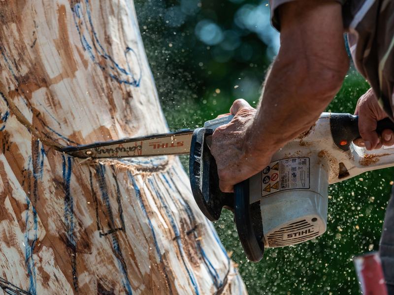 Tree removal in Rockford area, IL