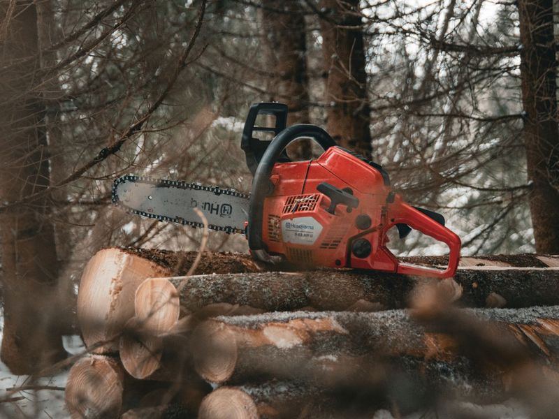 Tree removal job in the Signal Hill neighborhood of Rockford