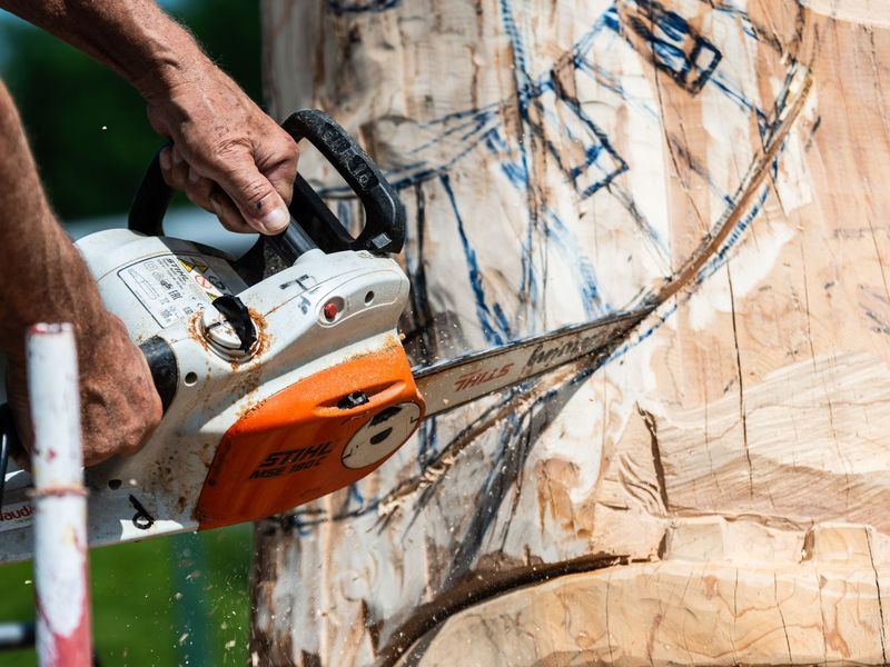 Tree removal job near South Beloit, IL
